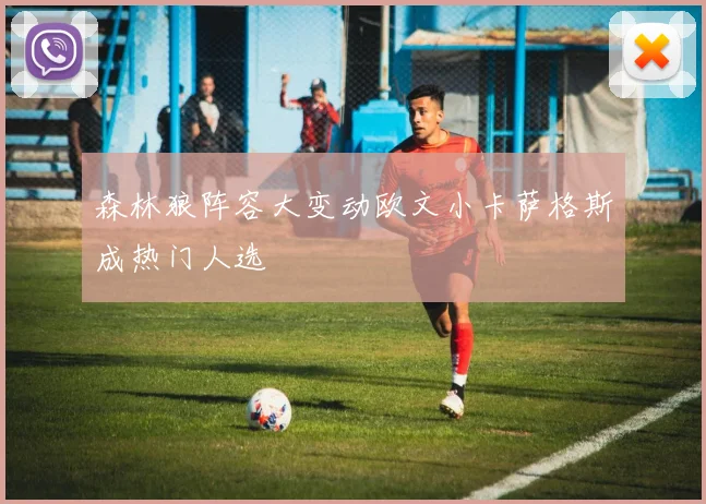 森林狼阵容大变动欧文小卡萨格斯成热门人选